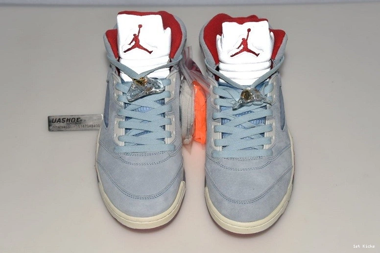 5 Jordan Trophy Ice Blue CI1899 Retro  400  Room - 1020